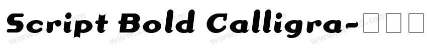 Script Bold Calligra字体转换